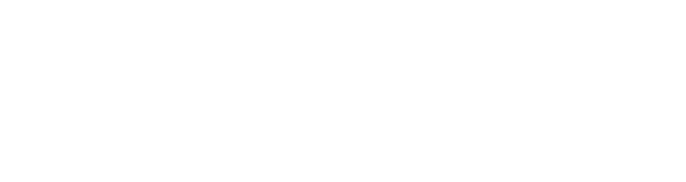 RAVEX